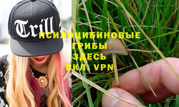 MDMA Premium VHQ Покачи